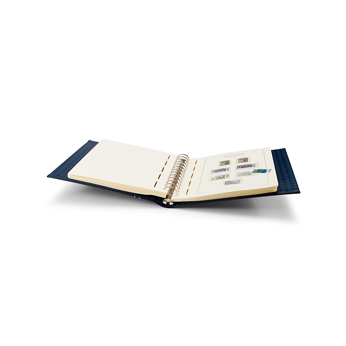 Excellent DE Ringbinder im Classic Design, inkl. Schutzkassette, grün