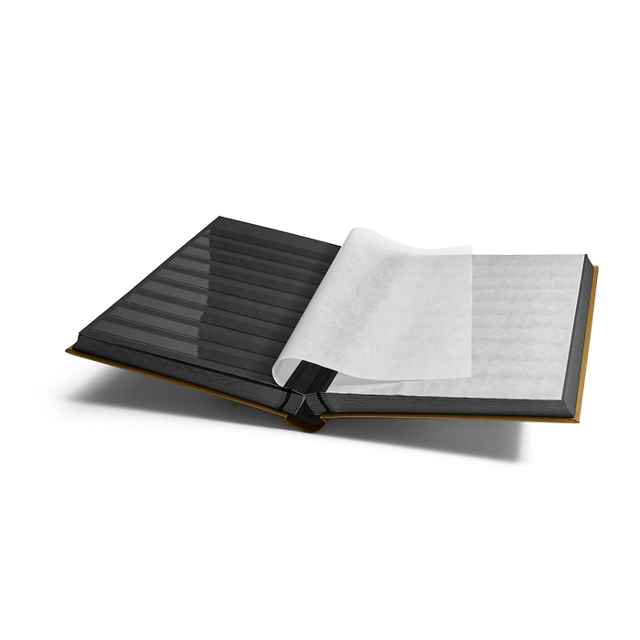 Comfort Einsteckbuch, Din A4,  64 schwarze Seiten, wattierter Einband, gold