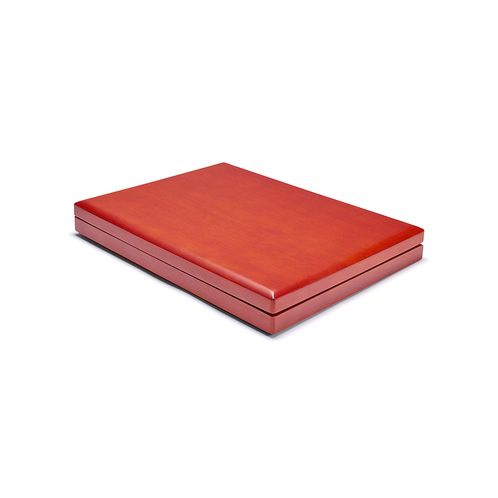 Münzetui SIENA für 12x MAGIC CAPSULES S