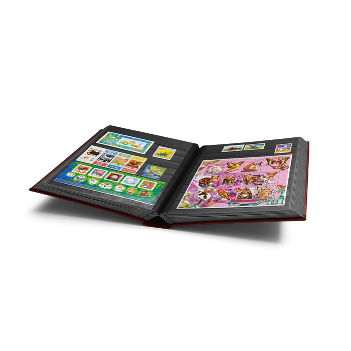 Einsteckbuch PREMIUM, DIN A4,  64 schw. Seiten, wattierter Ledereinb.* inkl. Kassette,rot