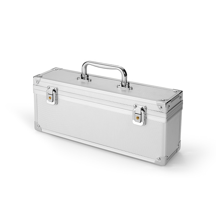 Cargo SQ Münzkoffer für 5 Sqube Münztubes, silber